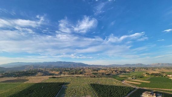 Temecula Valley: Sunrise Hot Air Balloon Ride with Champagne