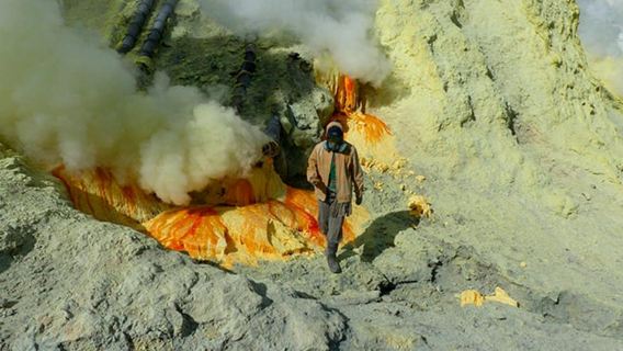 Banyuwangi : Mt Ijen with tour guide and Transfer Service