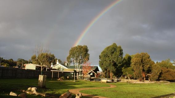 Melbourne: Phillip Island Penguin Parade Watching Day Tour