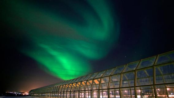 Rovaniemi: Vé Vào Bảo Tàng và Trung Tâm Khoa Học Arktikum