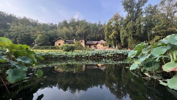 韶山自駕遊】高速路口接站+人工講解服務