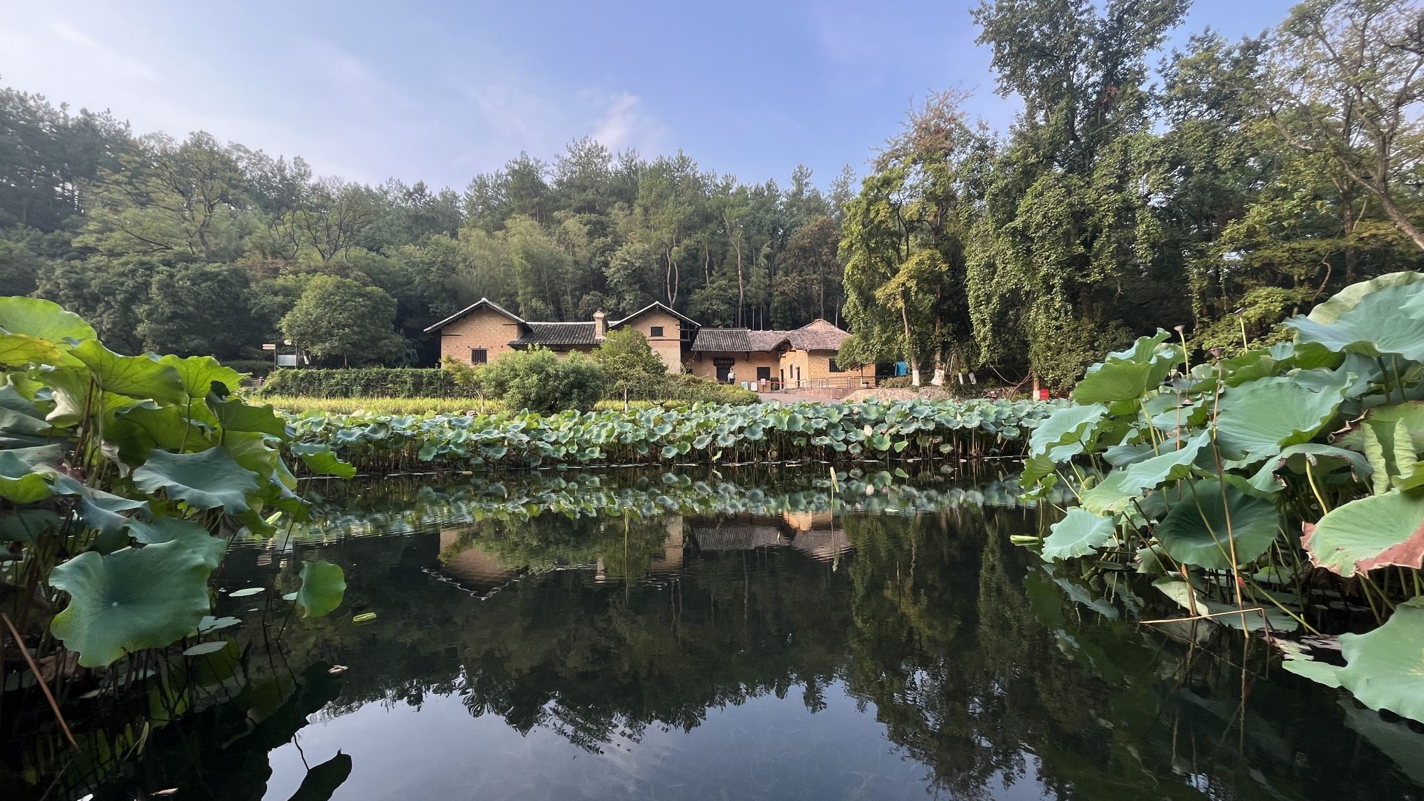 Shaoshan self-drive tour] Highway exit pick-up + live guided tour