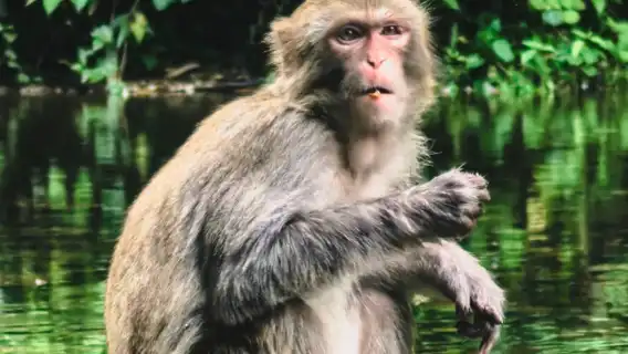 장가계 국가삼림공원: 2일 프라이빗 투어, 가이드, 백룡 엘리베이터 + 천자산 케이블카