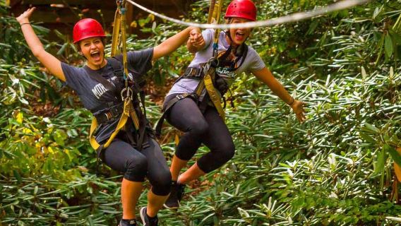 Oak Hill: Tour trượt Zipline tại Công viên Quốc gia New River Gorge