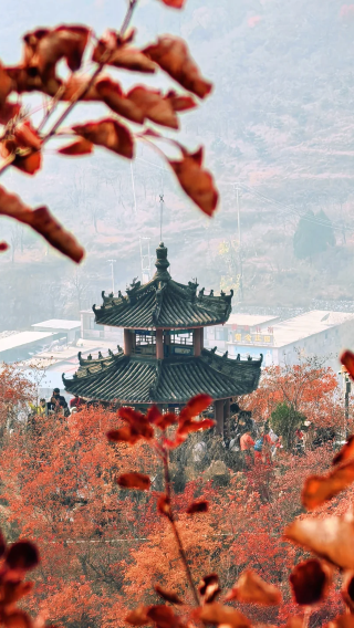 【保定出發】保定狼牙山媳婦嶺金秋賞紅葉+打卡甘蔗林一日