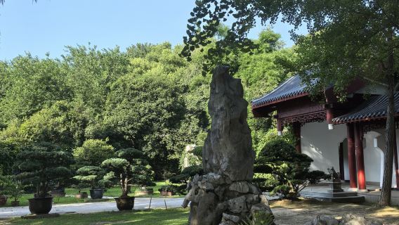 Wuhan 5-hour layover tour | East Lake Moshan quick guide