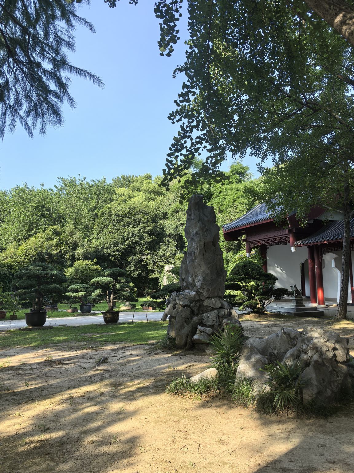 5-stündiger Transitausflug in Wuhan | Schnellbesichtigungstour am Ostsee und Mopan-Berg