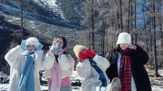 ○ Bipenggou one-day tour private group tour+ Nanqiao night view - car rental service - explore the natural journey in western Sichuan