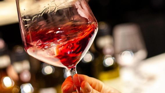 Chianti Wine Tasting Experience