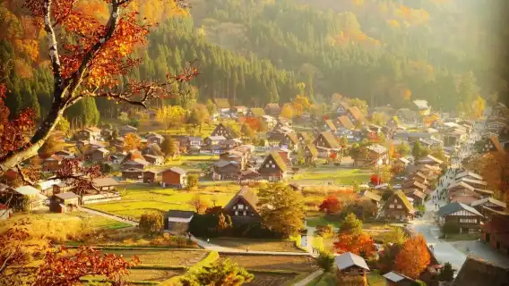 名古屋|白川郷+飛騨高山 日帰りツアー