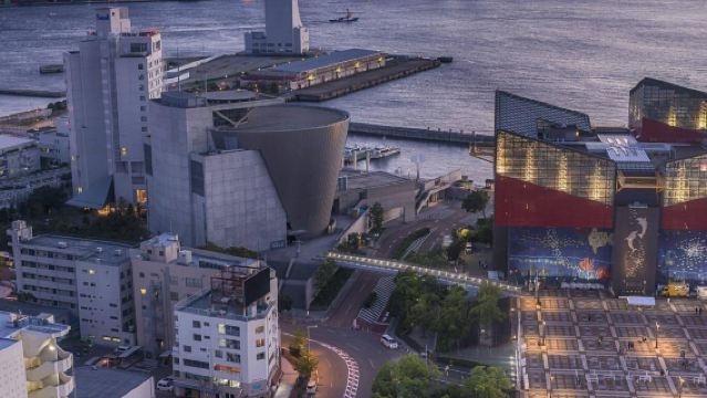 Los Angeles + Griffith Observatory + Hollywood Sign Day Tour/Customizable