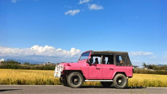 大理環洱海包車一日遊（純玩包車+一單一團+景點自選）