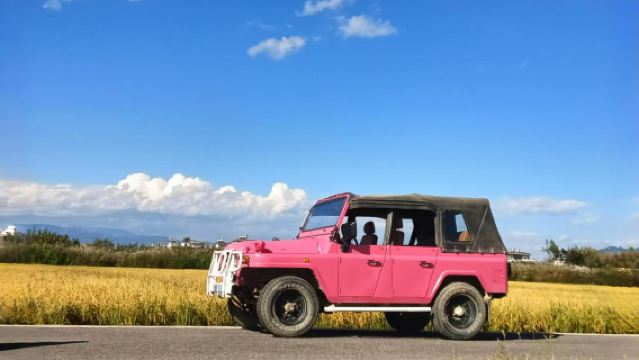 大理環洱海包車一日遊(純玩包車+一單一團+景點自選)