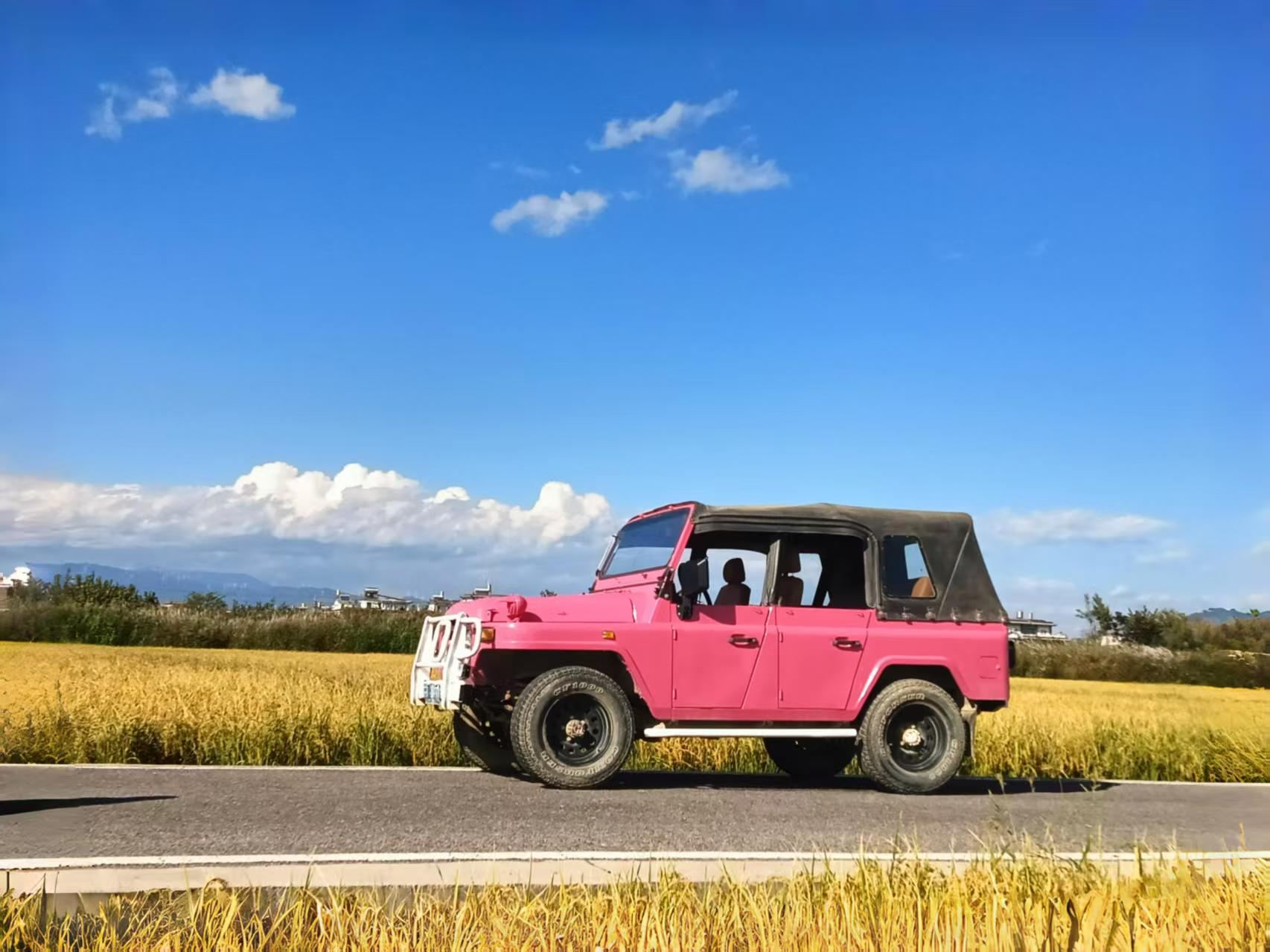 大理環洱海包車一日遊(純玩包車+一單一團+景點自選)