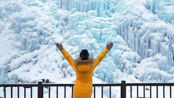 Partenza da Seul: Nami Island + Valle di Pescivola + Bicicletta su rotaia + Giardino Botanico di Morning Calm