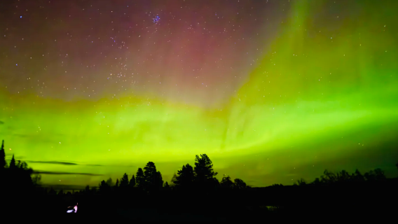 【極光獵人帶隊】俄羅斯摩爾曼斯克 · 4小時北極光追逐之旅