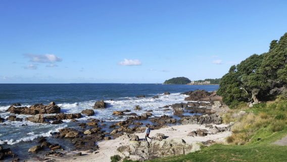 紐西蘭奧克蘭+羅托魯瓦+陶波湖-可定制【中文專車-愜意舒適】