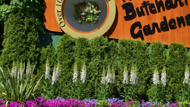 Roundtrip Transport from Victoria to Butchart Gardens