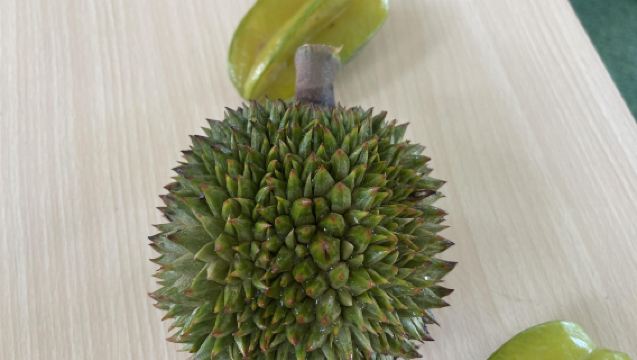 泰國羅勇翻譯｜專注中泰/中英互譯｜商務翻譯、展會翻譯、市場陪同、旅遊地陪、出行導覽全承接，一站式服務