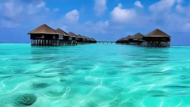 Rellenado de la Tarjeta de Llegada Electrónica de Brunéi | Tarjeta E-Arrival Card - Rellenar/Actualizar [Solución rápida para problemas de inmigración]