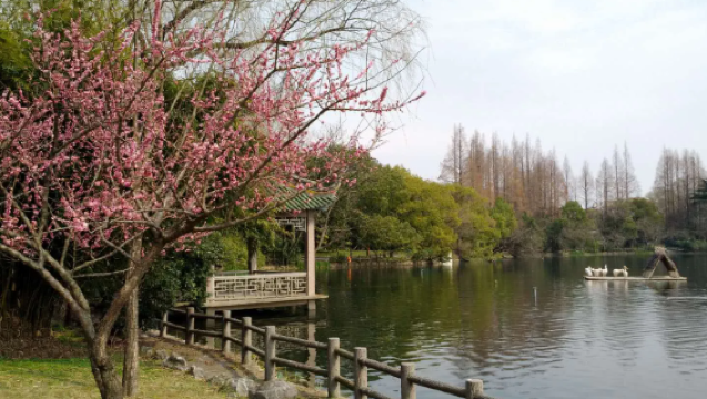 上海持證導遊/中英文導遊/小語種導遊歡迎諮詢 {松江廣富林/上海一日遊私人訂製/研學遊/親子遊}