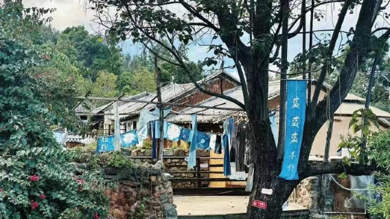 【大理紮染非遺研學體驗】雲南大理大地藍染工坊/可體驗植物拓染（多款式可選+導師指導製作）