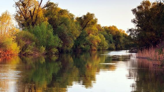 Argentine | Buenos Aires | Départ | Excursion d'une journée premium à Tigre