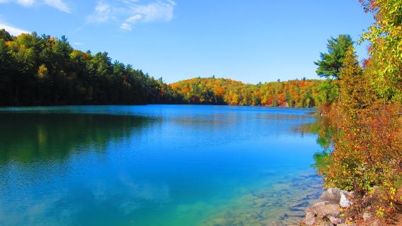 Kanada Ottawa + Lawatan Sehari Menikmati Daun Maple di Taman Negara Gatineau [Sewaan Peribadi Bahasa Cina Dengan Pengambilan Di Tempat]