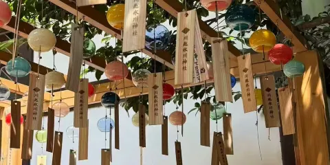 【川越小江戶】冰川神社+藏造老街時之鐘+熊野神社|包車一日遊