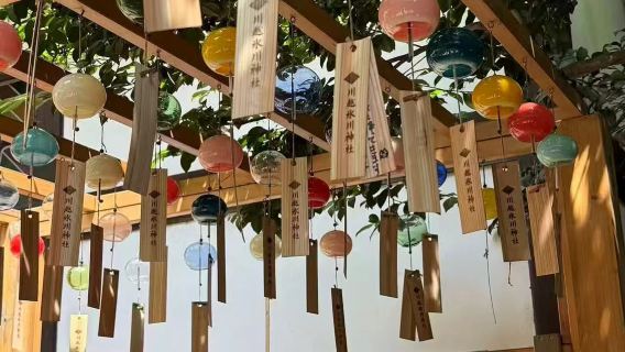 【川越小江戶】冰川神社＋藏造老街時之鐘＋熊野神社｜包車一日遊