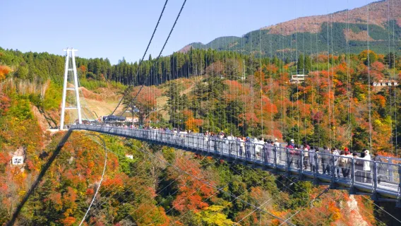 Perjalanan Satu Hari Menikmati Musim Gugur dari Fukuoka | Gerbang Rahasia Aoi no Domon + Delapan Pemandangan Sekilas + Jembatan Mimpi Kokonoe