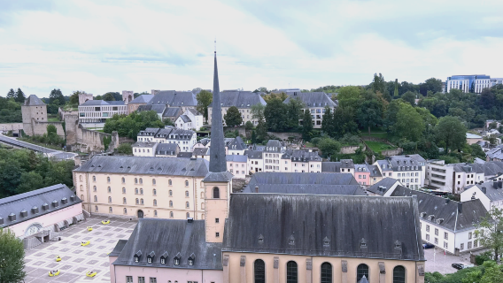 Lawatan sehari sewaan peribadi untuk meneroka hutan semula jadi dan memahami sejarah di Diekirch, Luxembourg, Eropah