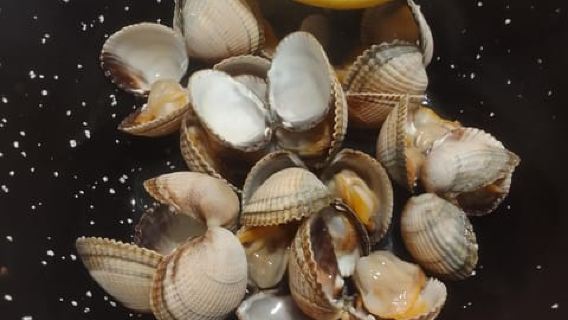 Santiago de Compostela: Wine and Seafood Tasting