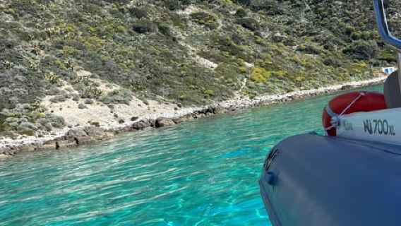 Tropea: Capo Vaticano Small-Group Boat Tour