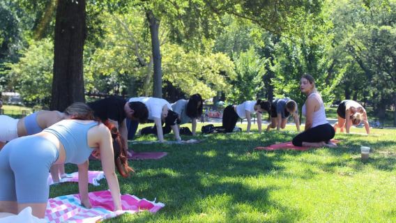 Central Park: Highest Rated Yoga Class in New York City!