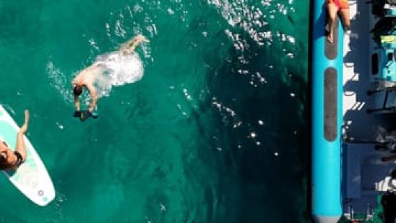 Mallorca: 2h speedboat tour with a stop at a cove for a swim