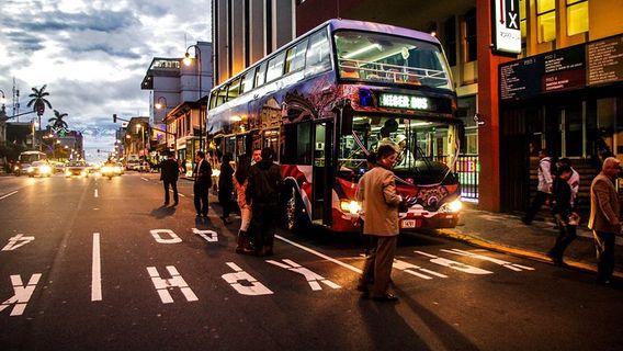 San JoseTours