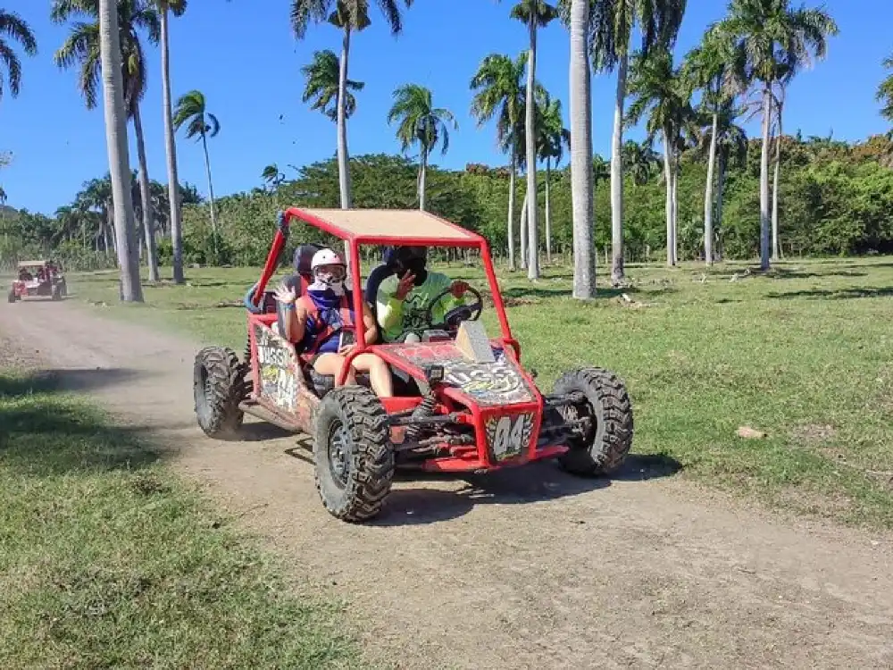 Amber cove dune buggy online