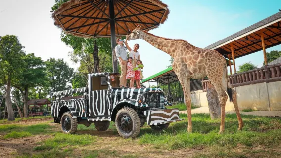 Una excursión de un día a Bangkok, Ayutthaya, el Zoológico del Rey León, el Parque Histórico de Ayutthaya y Wat Mahathat.