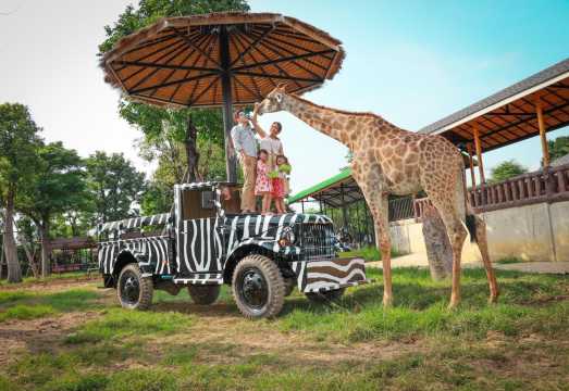 Bangkok-Ayutthaya Lion King Zoo + Ayutthaya Historical Park + Wat Mahathat Ruins Day Trip