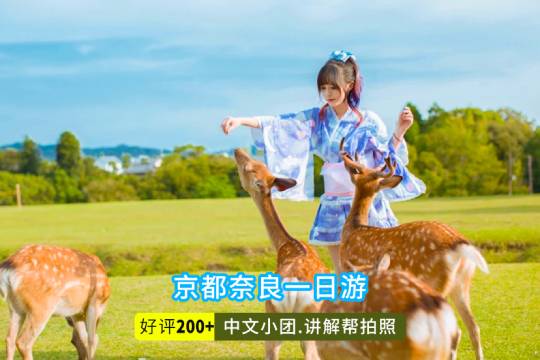 日本京都清水寺+奈良公園+伏見稻荷大社一日遊