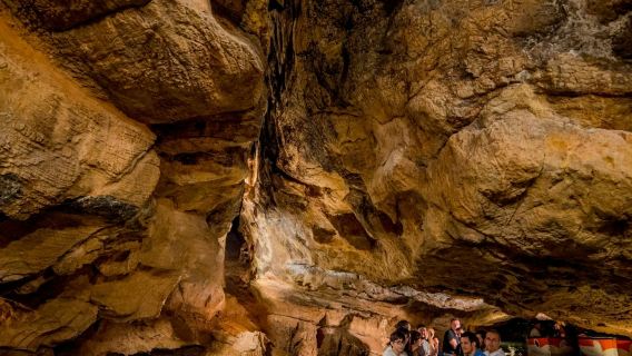 San José Caves: Entry Ticket + Guided Tour + Roundtrip Transport