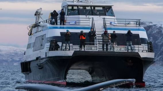 Norway Tromso Fjord Whale Watching one-day tour RIB/Catamaran Optional English Tour