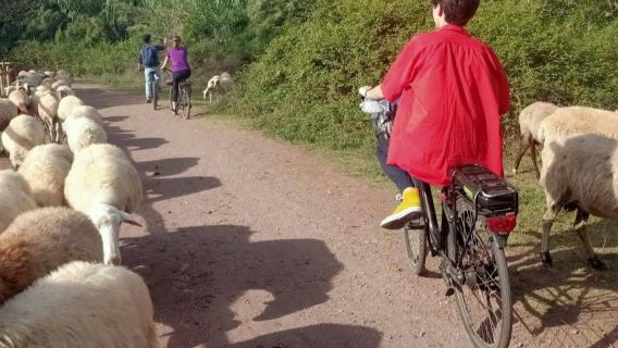 Аппиева дорога, акведуки и катакомбы Рима: тур на электросамокате