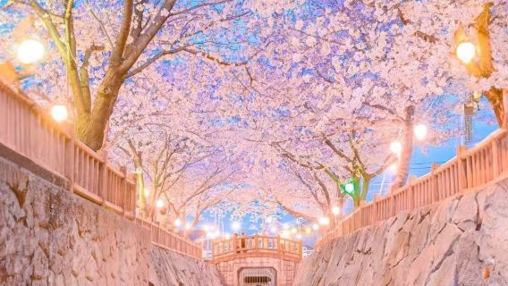 大阪日遊
