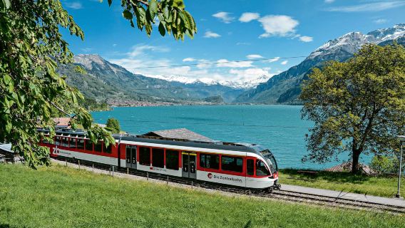 Primo tour di un giorno in montagna (andata e ritorno da Zurigo/Lucerna / biglietto del treno funivia incluso)