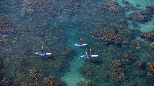 Dubai Attraction: Stand Up PaddleBoard Dubai Day Tours 7