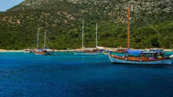 Bodrum: Orak Island Boat Trip