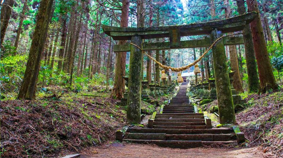 日本福岡祕境神社·阿蘇火山·草千里·黑川溫泉一日遊|熊本來回