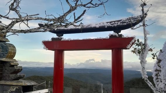 Romantic one-day tour from Nha Trang to Dalat